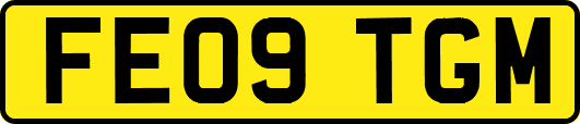 FE09TGM