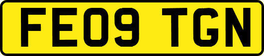FE09TGN