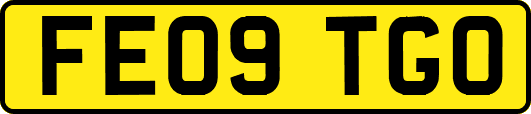 FE09TGO