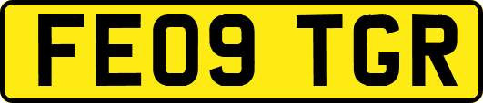 FE09TGR
