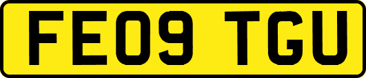 FE09TGU