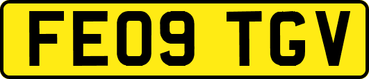 FE09TGV