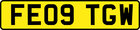 FE09TGW