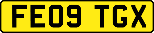 FE09TGX