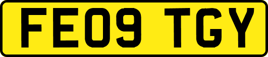 FE09TGY