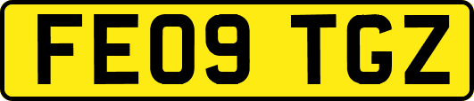 FE09TGZ