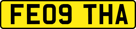 FE09THA