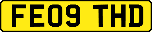 FE09THD