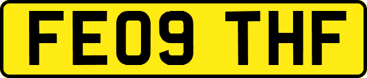 FE09THF