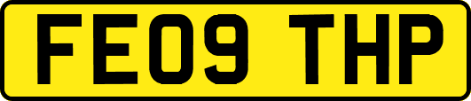 FE09THP
