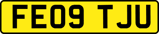 FE09TJU