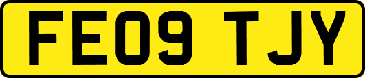 FE09TJY