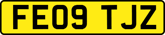 FE09TJZ