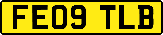 FE09TLB