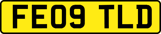 FE09TLD