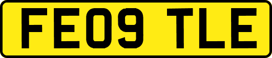 FE09TLE