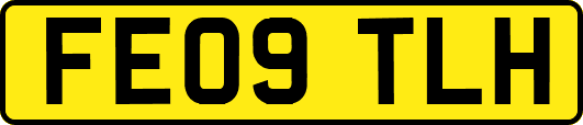 FE09TLH