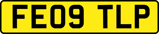 FE09TLP