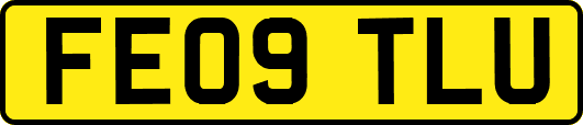 FE09TLU