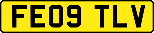 FE09TLV