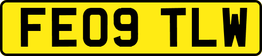 FE09TLW
