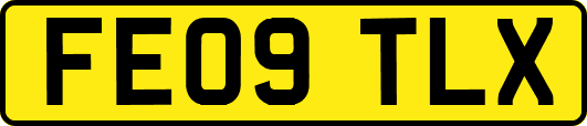 FE09TLX