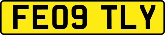 FE09TLY