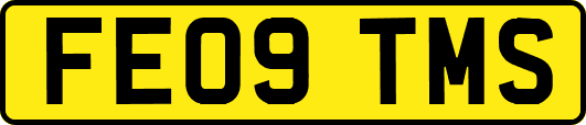 FE09TMS
