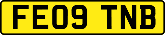 FE09TNB