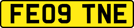 FE09TNE