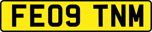 FE09TNM