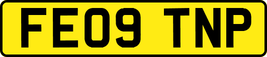 FE09TNP