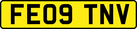 FE09TNV