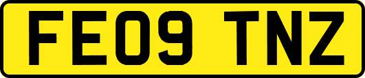 FE09TNZ