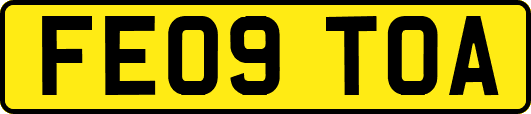 FE09TOA