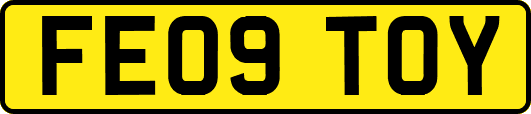 FE09TOY