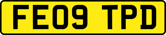 FE09TPD