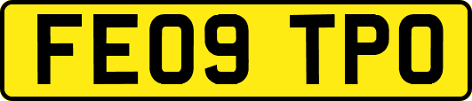 FE09TPO
