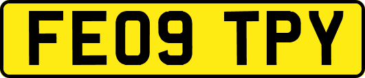 FE09TPY