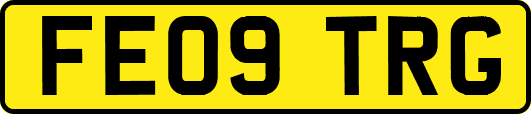 FE09TRG