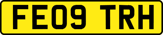 FE09TRH