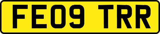 FE09TRR