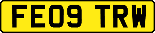 FE09TRW