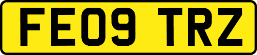 FE09TRZ