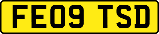 FE09TSD