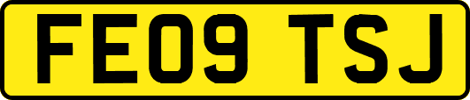 FE09TSJ