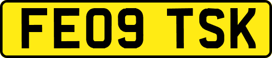 FE09TSK