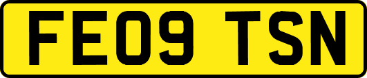 FE09TSN