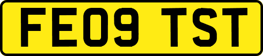 FE09TST
