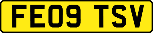 FE09TSV